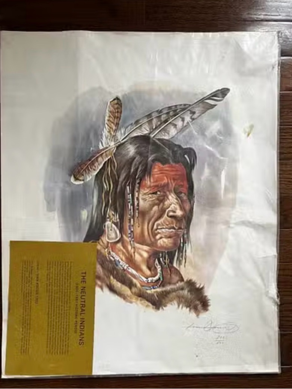 Artwork N - The Neutral Indians by Ivan Kocsis (print)
